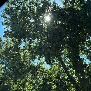 Meet your Posher, Lola